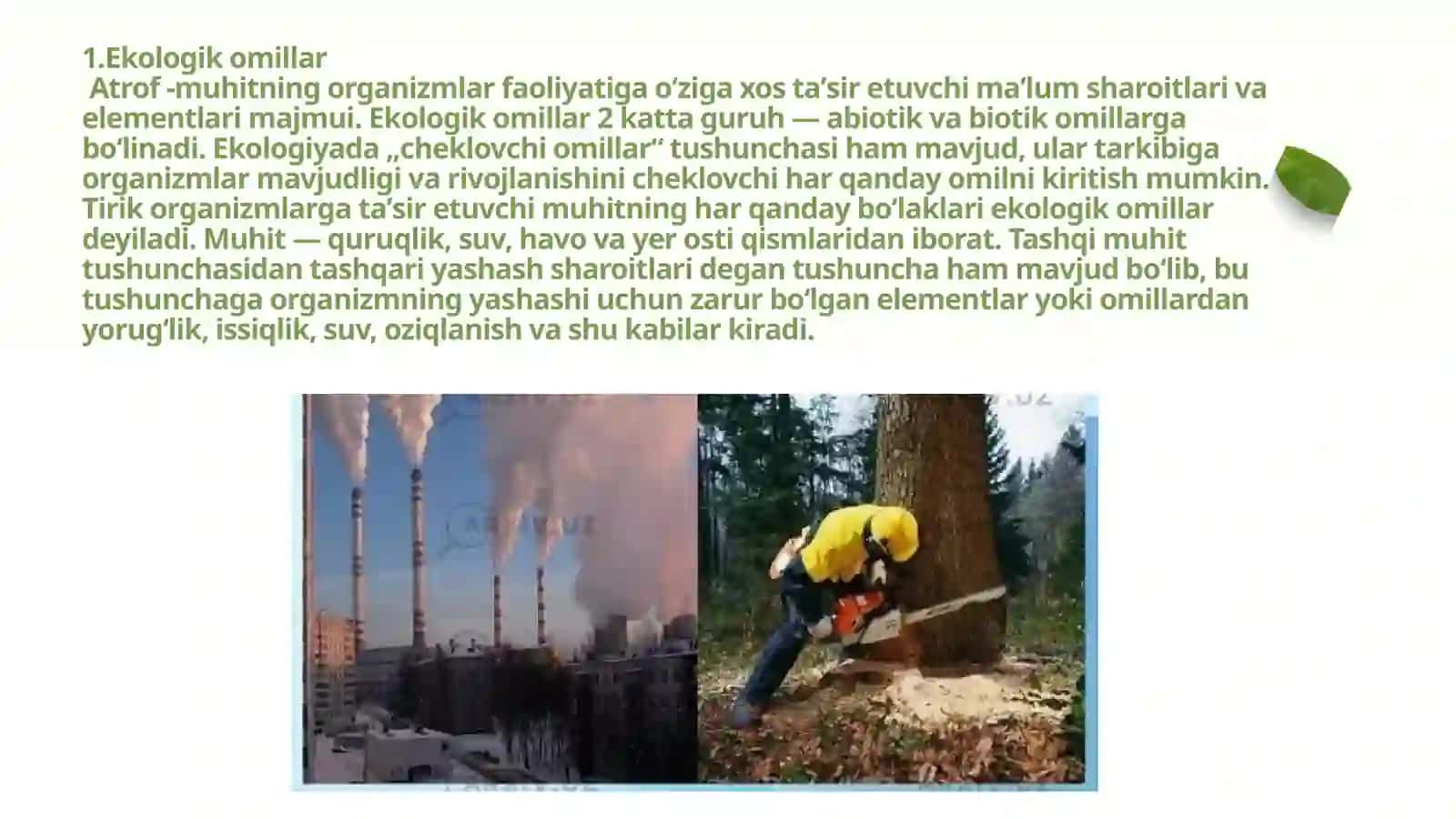 EKOLOGIK OMILLAR VA ULARNING ORGANIZMLARGA TA’SIRI 4