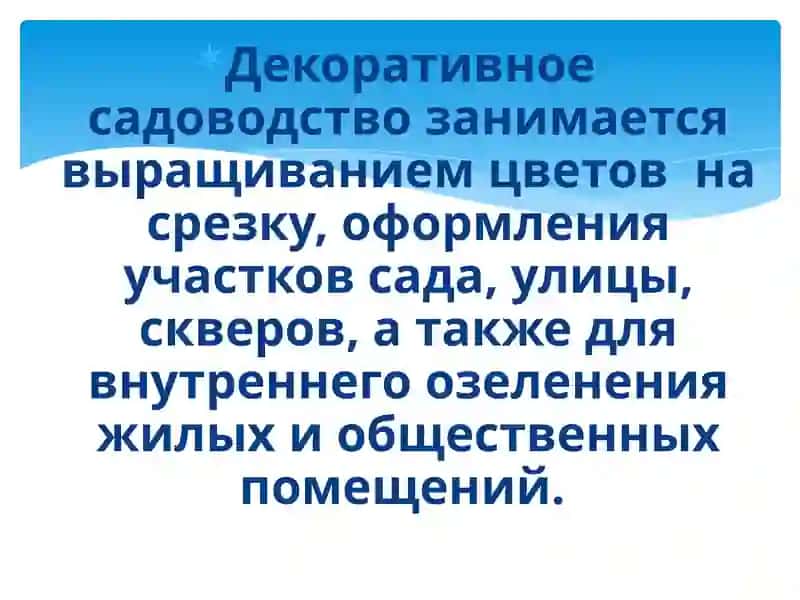 ДЕКОРАТИВНЫЕ САДОВСТВО 4