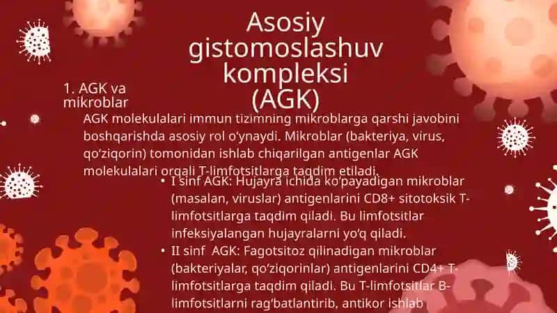 Mikrobiologiya immunitet 4
