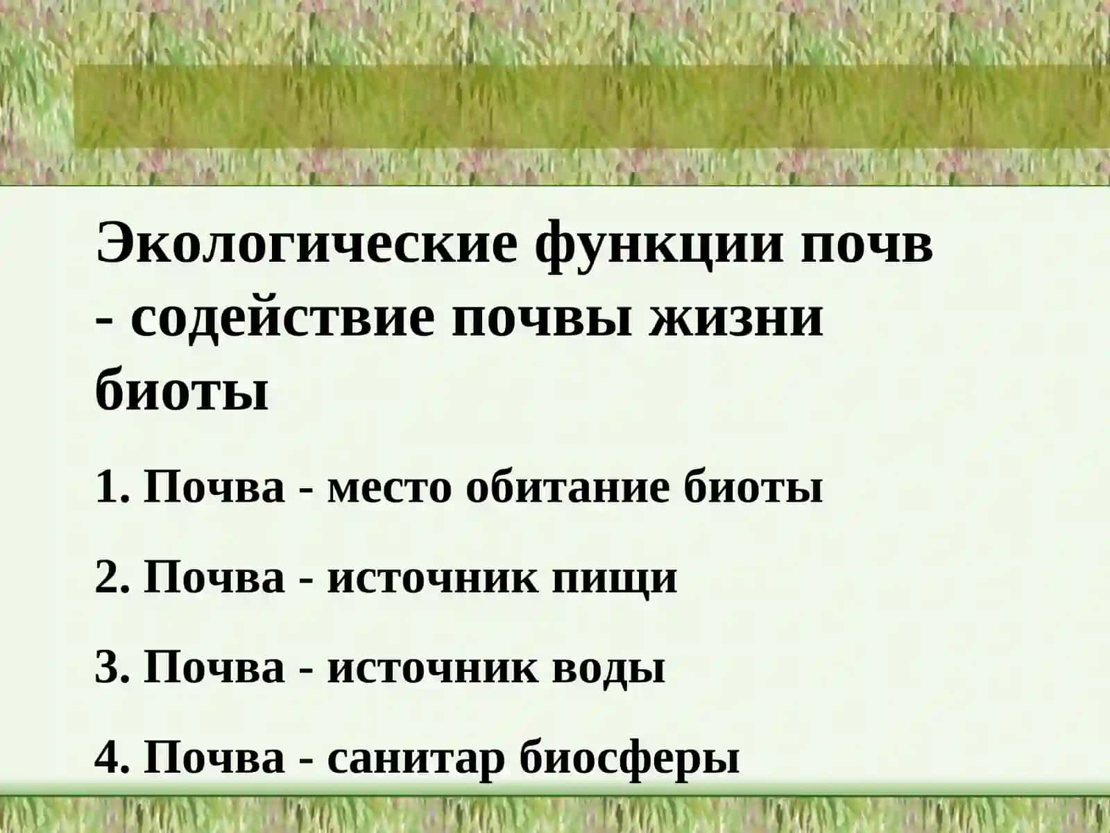 Экологические функции почвы 4