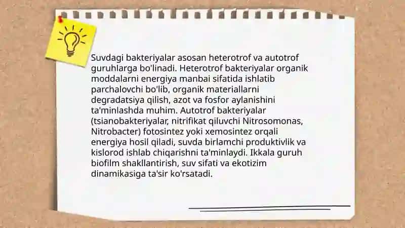Suv mikroflorasi 4