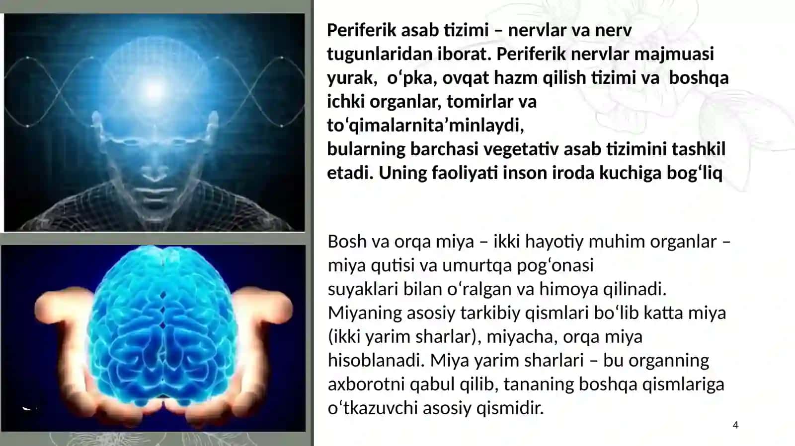 Xulq-atvorining psixofiziologik asoslari (12 slaydli prezentatsiya) 4