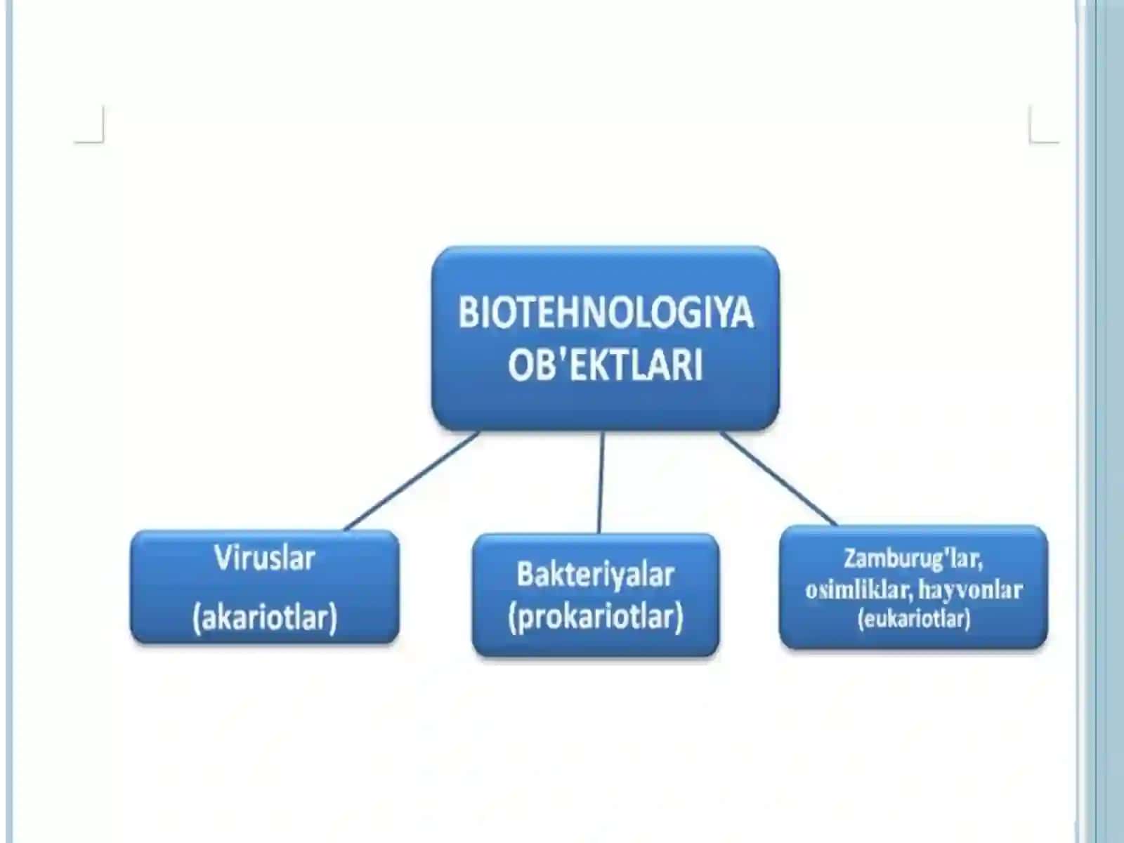 Mikroorganizmlar biotexnologiyasi 4