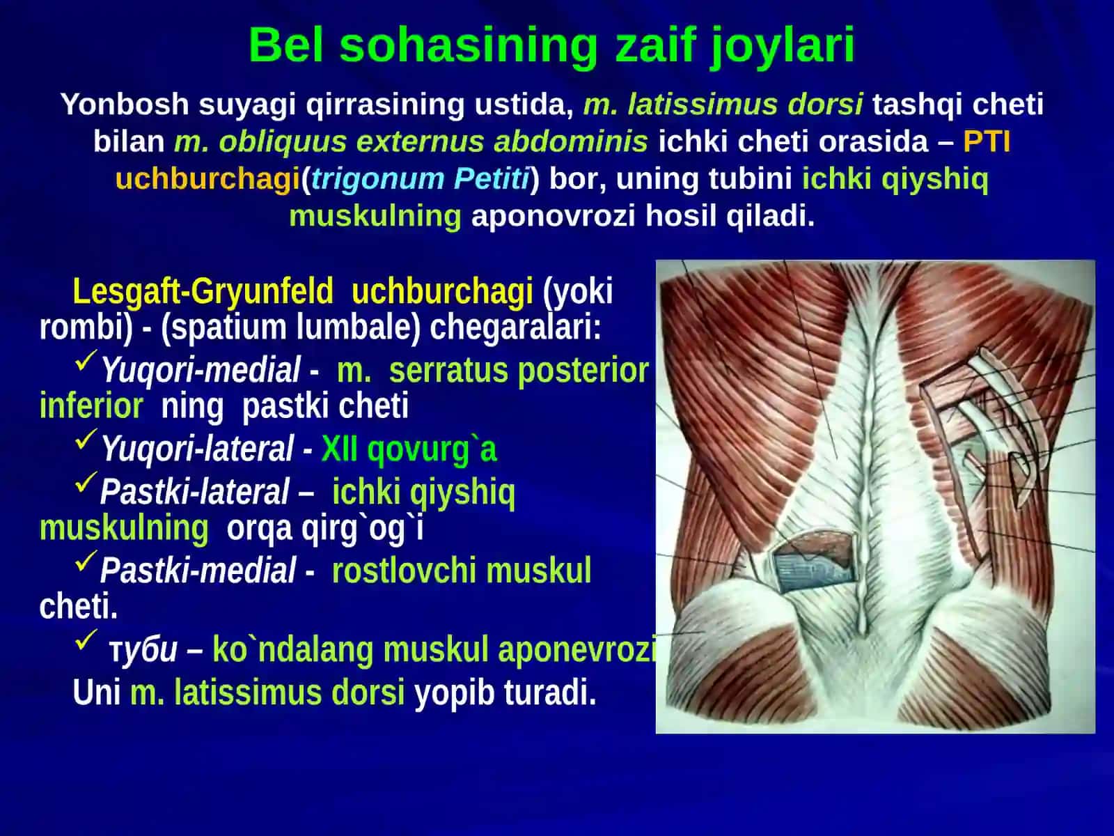 BEL SOHASI VА QORIN PARDA ORQA BO`SHLIG`NING KLINIK ANATOMIYASI VA OPERATSIYALARI 4