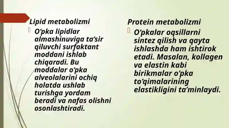 Oʻpkaning metabolizm funksiyalari 4