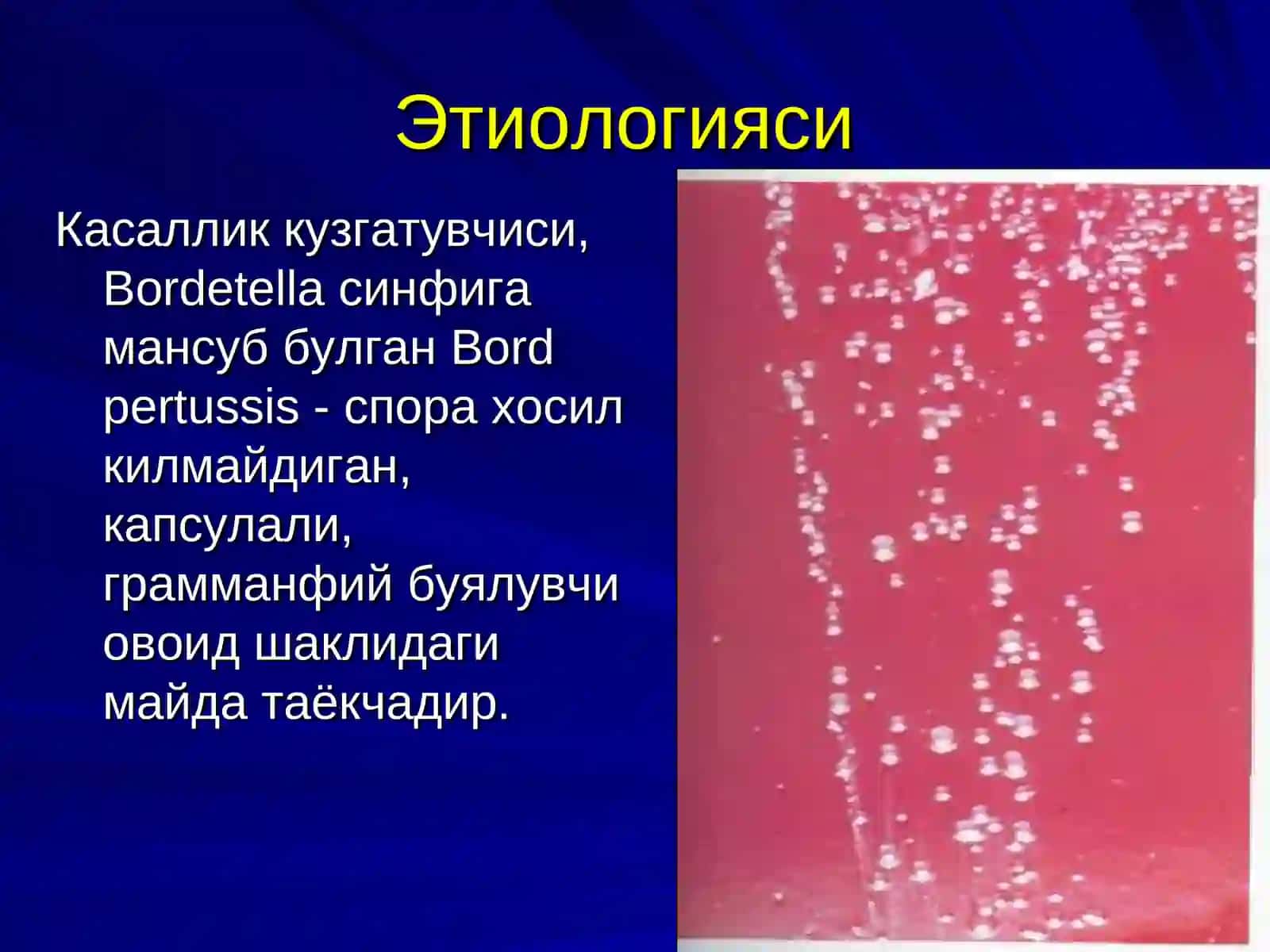 Кукйутал 4