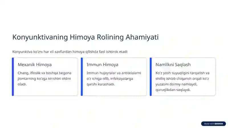 Konyunktiva: Ko'z Yuzasining Himoyachisi 4