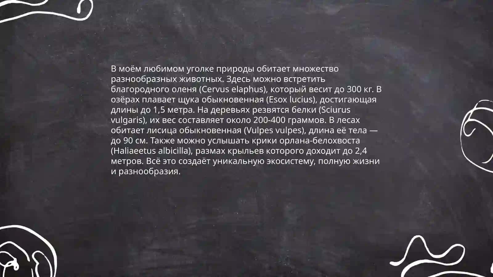 Байкал 4