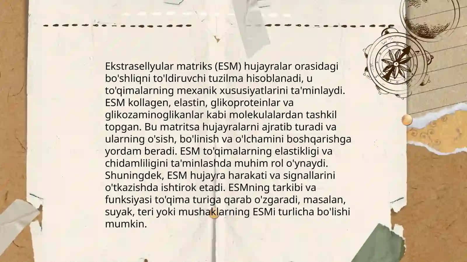 Togʻay toqimasining tarkibiy qisimlari 4