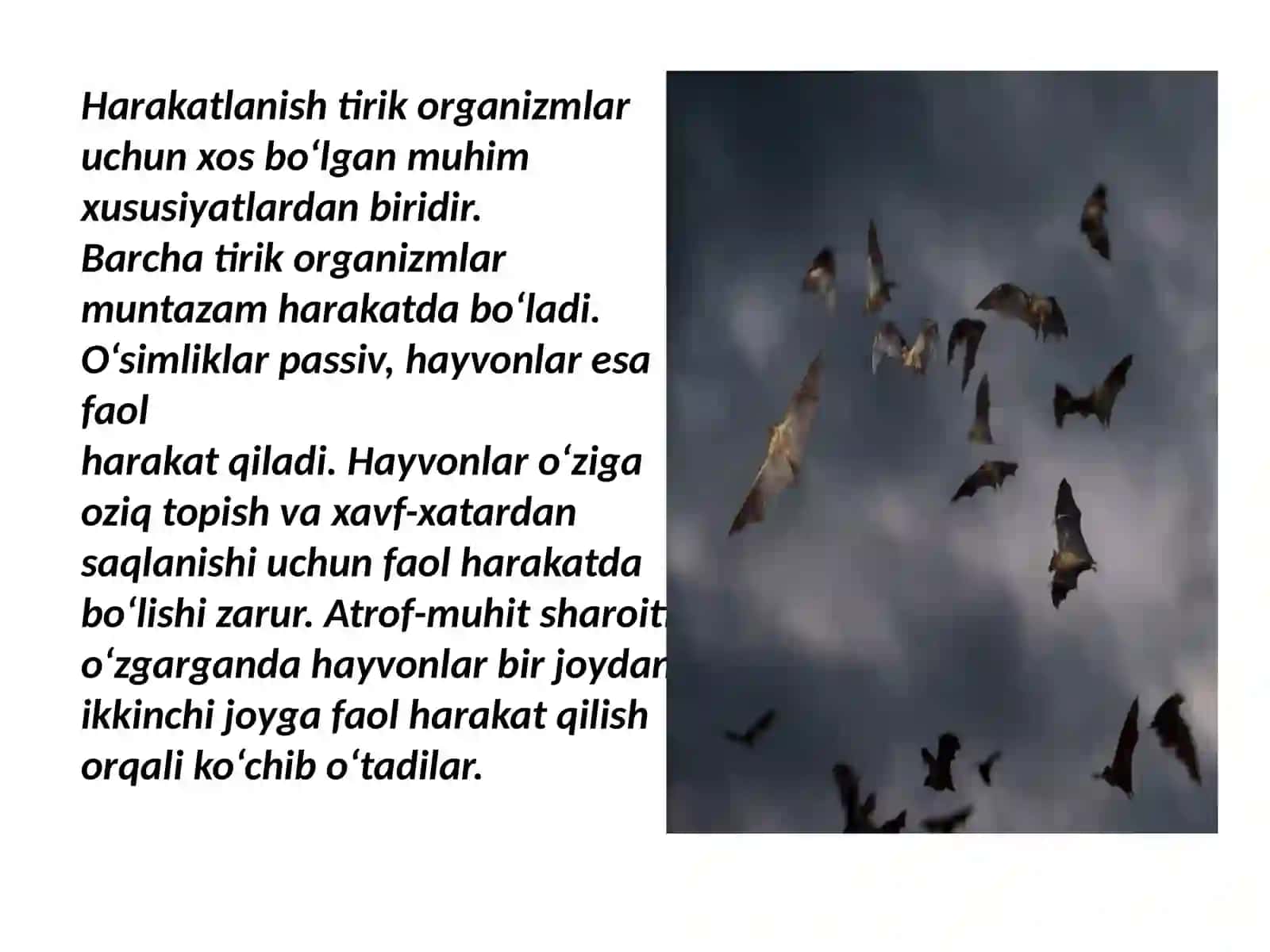 Biologiya fanidan malakaviy amaliyot 4