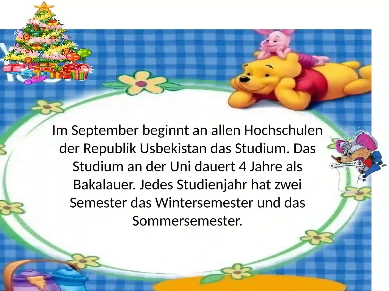 Die Präsentation der Studentin der Gruppe 316 an der Fakultät Pädagogik 4