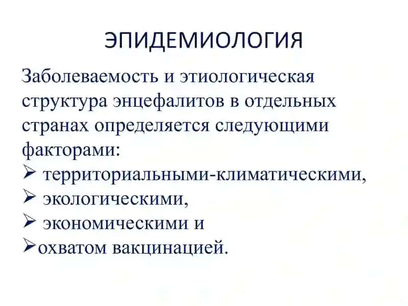 ЭНЦЕФАЛИТЫ 4