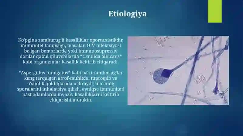 Zamburug'li patogenlar 4