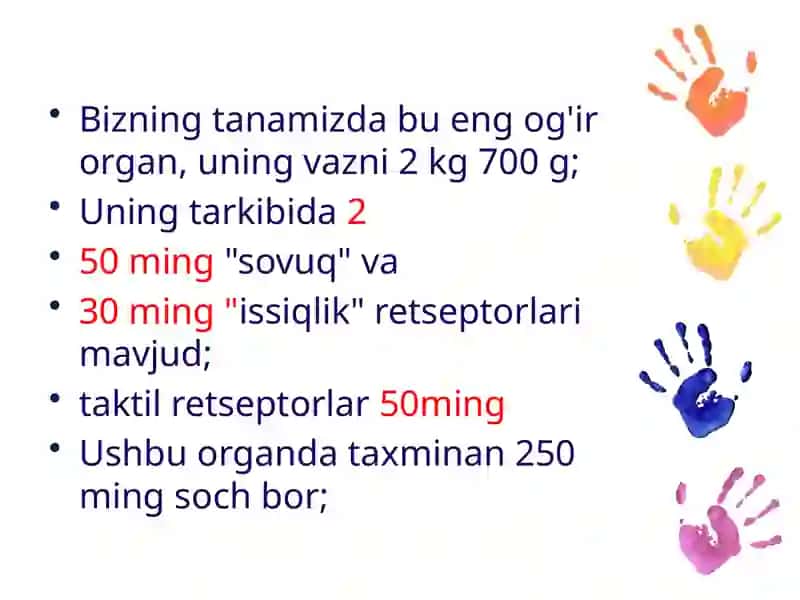 Terianalizator 4
