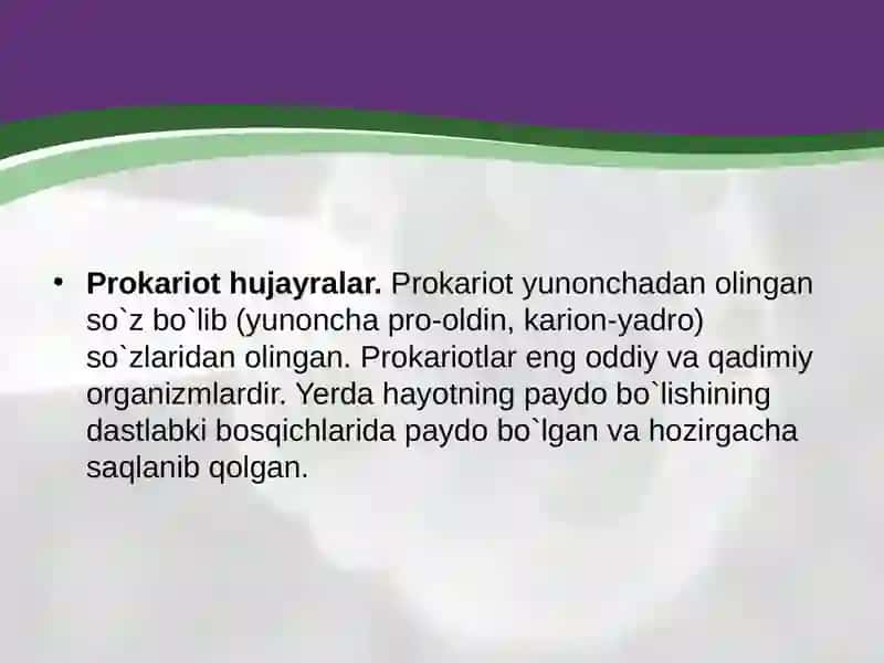 Prokariothujayra 4