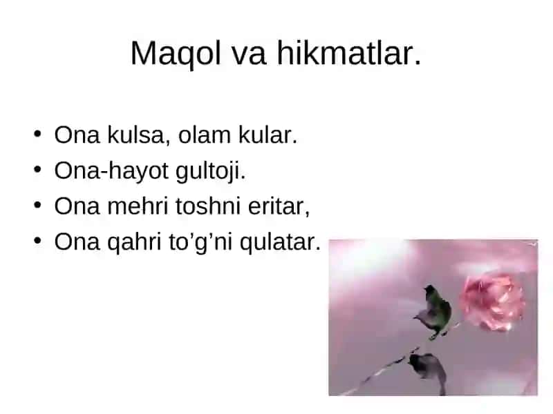 Ona 4