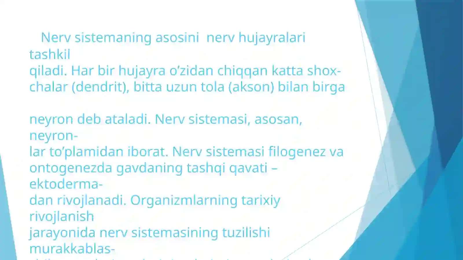 NERV TIZIMI VA QARISH 4