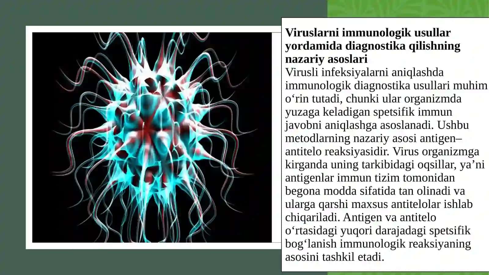 Viruslarni immunologik usullar yordamida diagnostika qilish.Hujayra va yadro kiritmalari Viruslarning umumiy tuzilishi 4