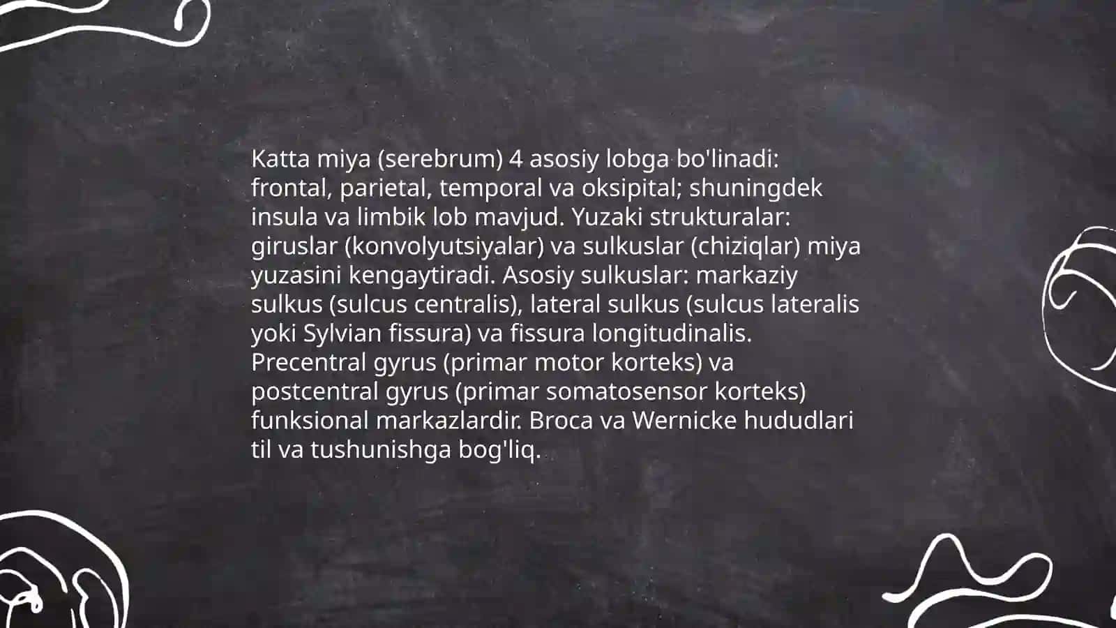 Nerv sistemasining tuzilishi markaziy nerv sestemasi 4