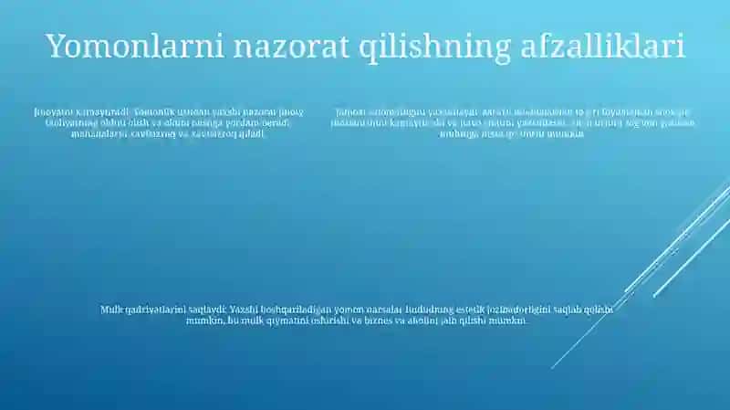 Bad Larning Ishlatilishidagi Nazorat 4