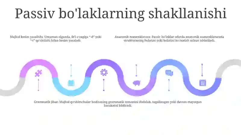 Anatomik Va Gistalogik Nomenklaturalarda QoʻLlaniladigan OʻTgan Zamon Sifatdoshining Majhullik Nisbati 4