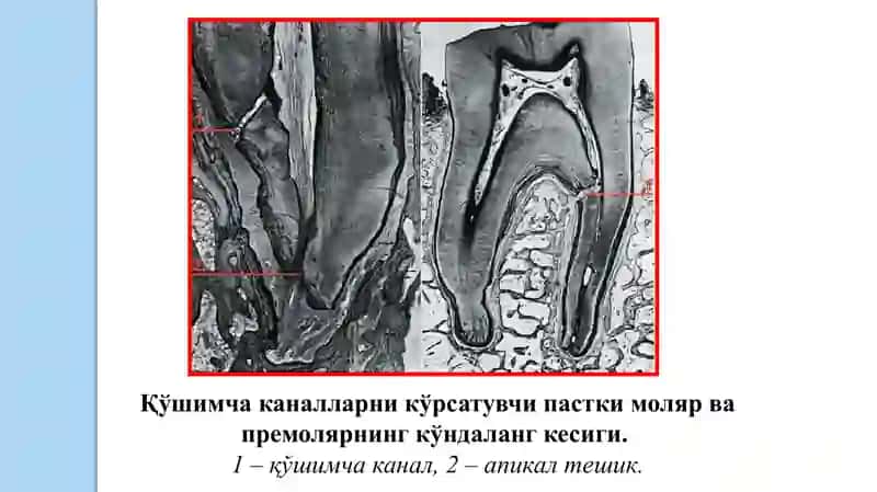 Pulpitlar mavzusida ppt 4