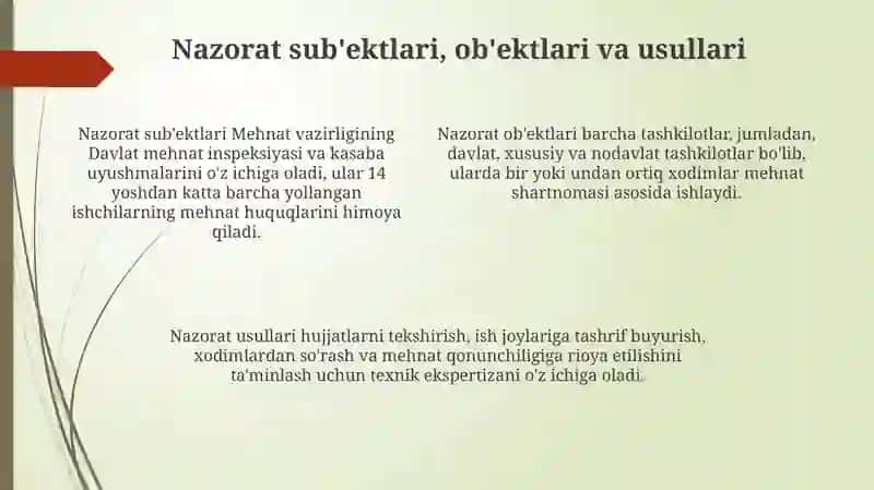 Mehnat Qonunlariga rioya etishni nazorat qilish 4