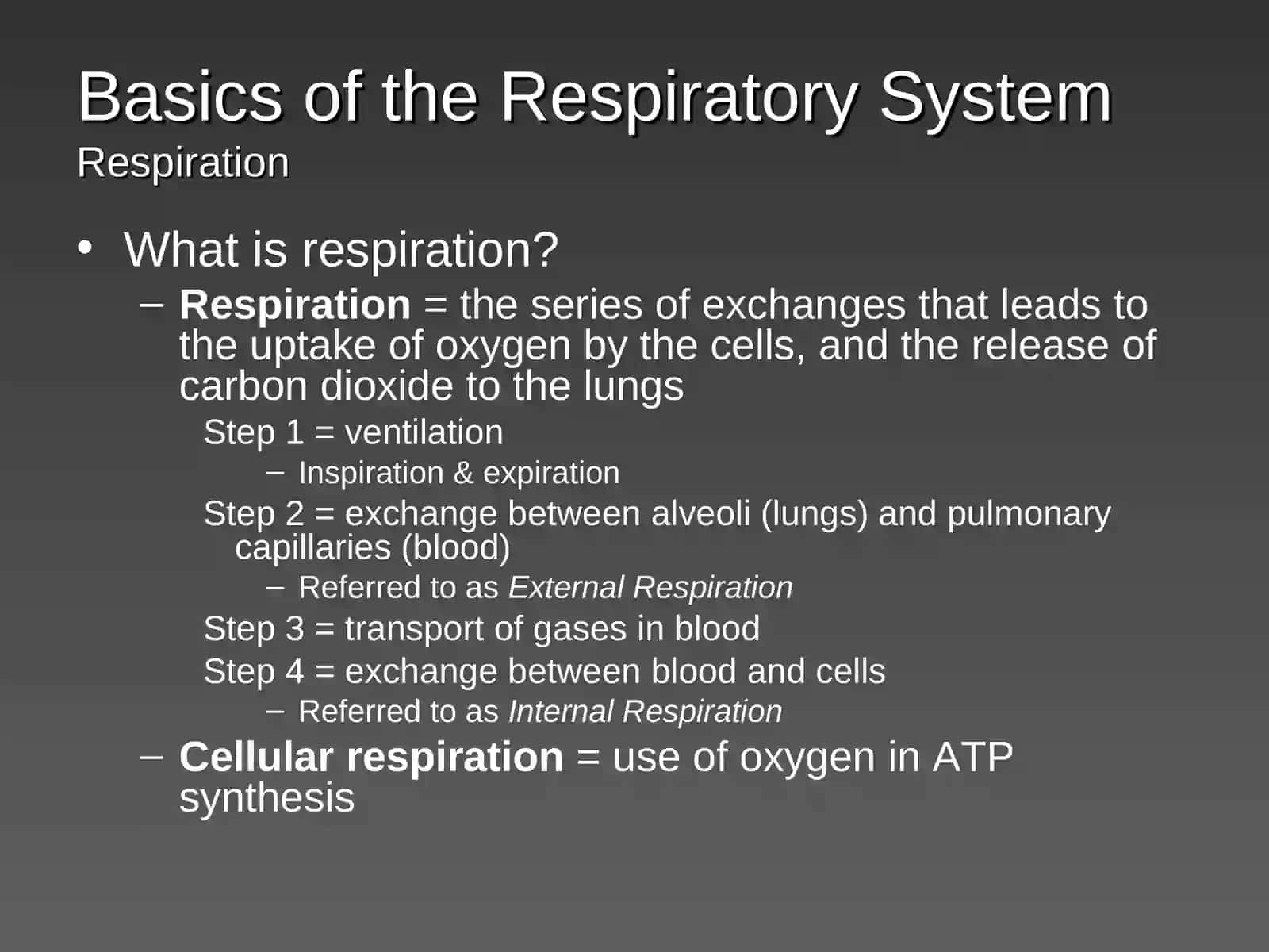 Respiratory Physiology Lecture Outline 4