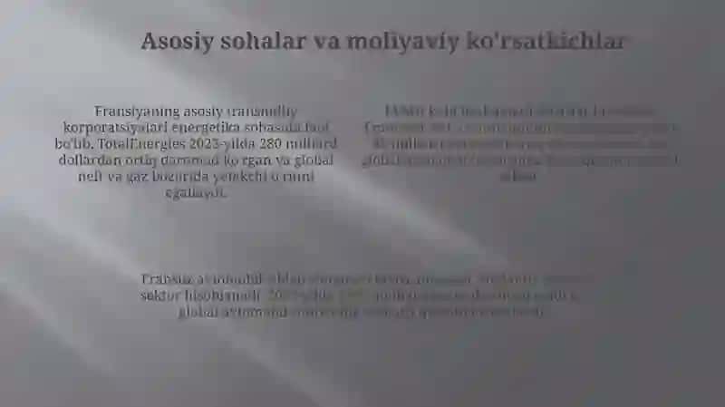 Fransuz transmilliy korporatsiyalari 4