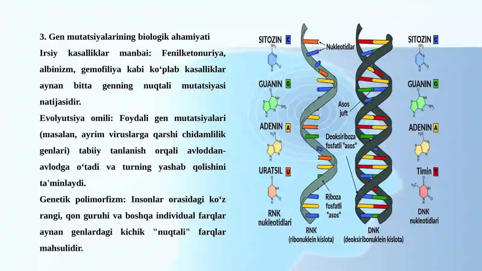 Mutatsiyalar 4