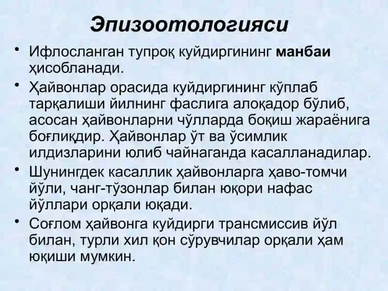 Куйдирги (Anthrax) 4