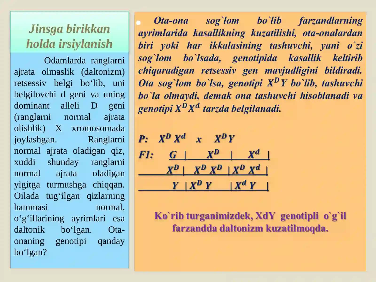 Jinsga birikkan holda irsiylanish 4