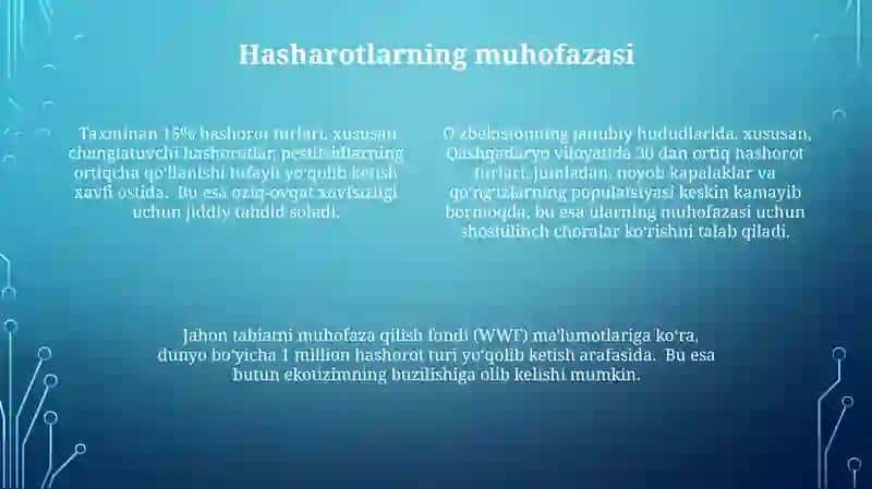 Hasharotlar 4