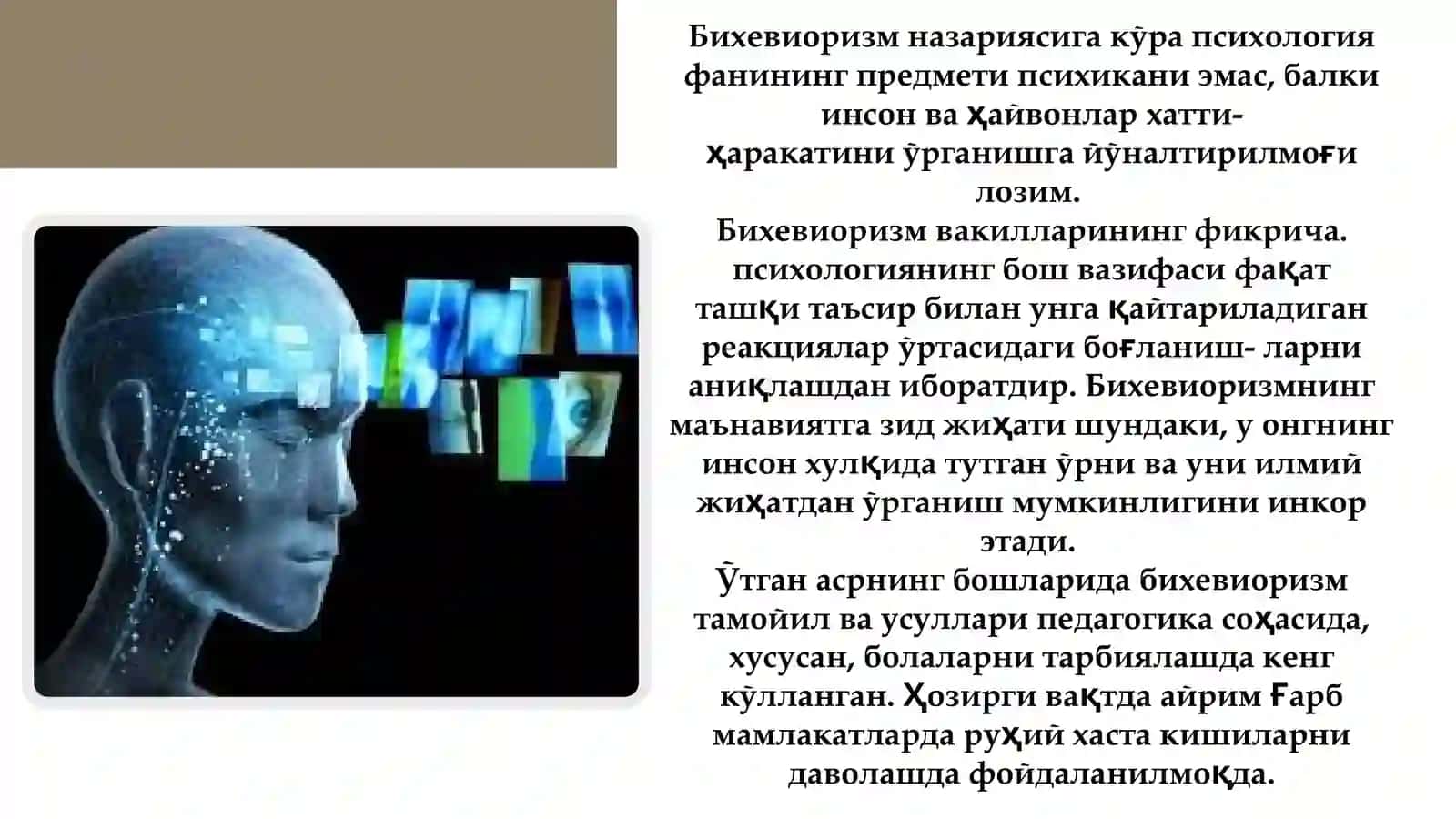 Бихевиоризм 4