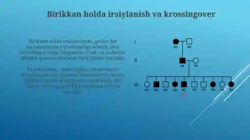 Morgan qonunlari va jinsiy genetika asoslari 4