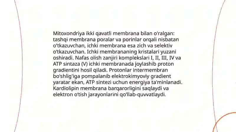 Nafas olish zanjiri 4