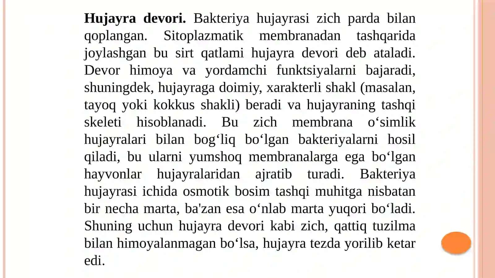 Bakteriyalar tuzilishi 4