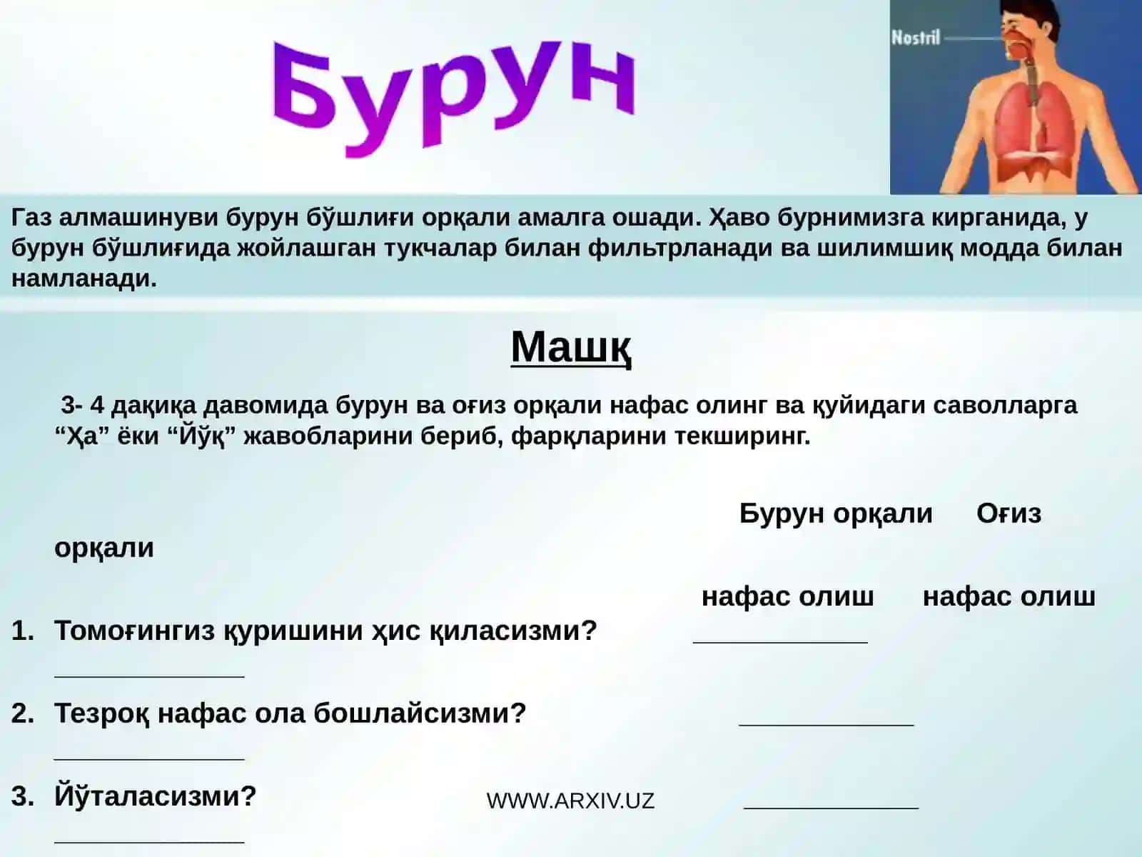 Одам нафас олиш тизими 4