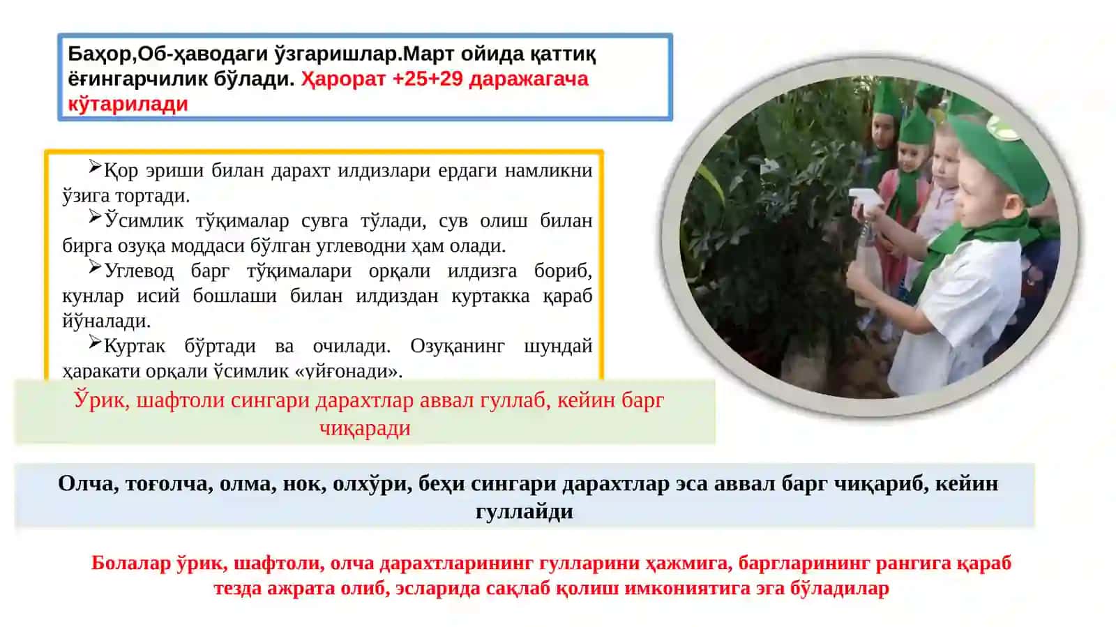 Тажриба – табиатшуносликни ўқитишнинг еткачи услуби сифатида, амалий услублар уларнинг турлари 4