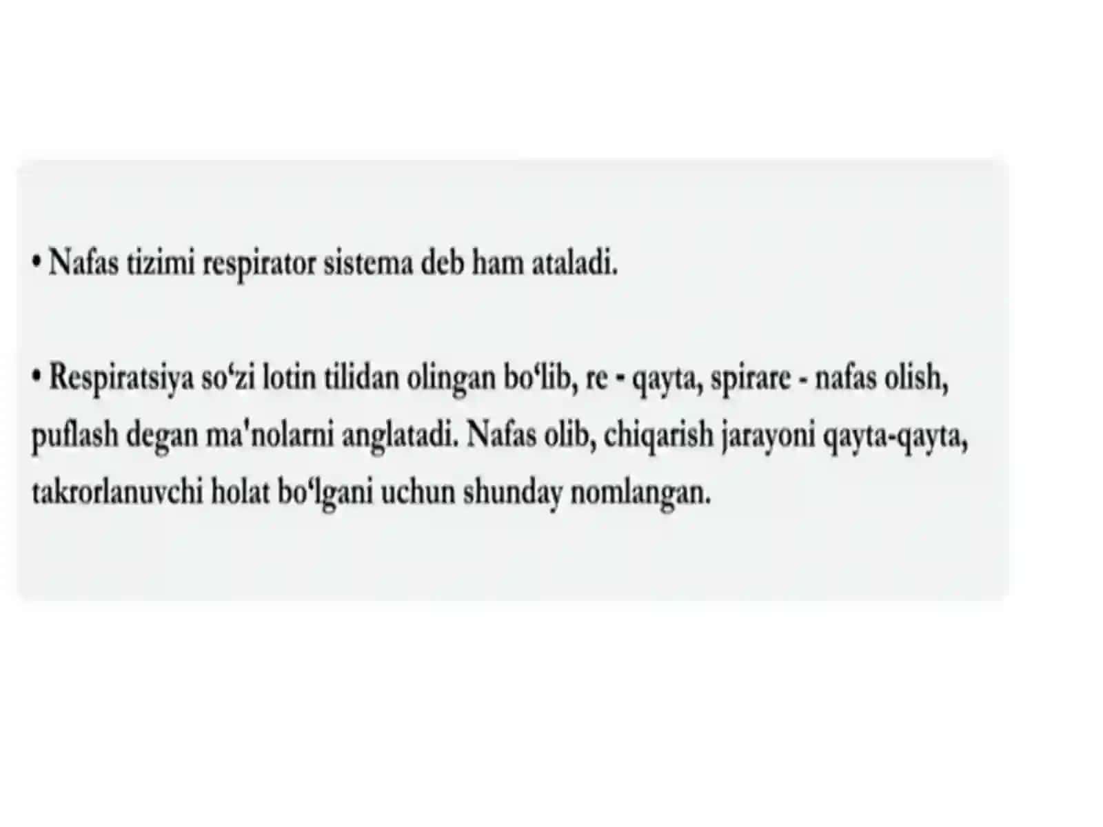 Nafassistemasifiziologiyasi 4