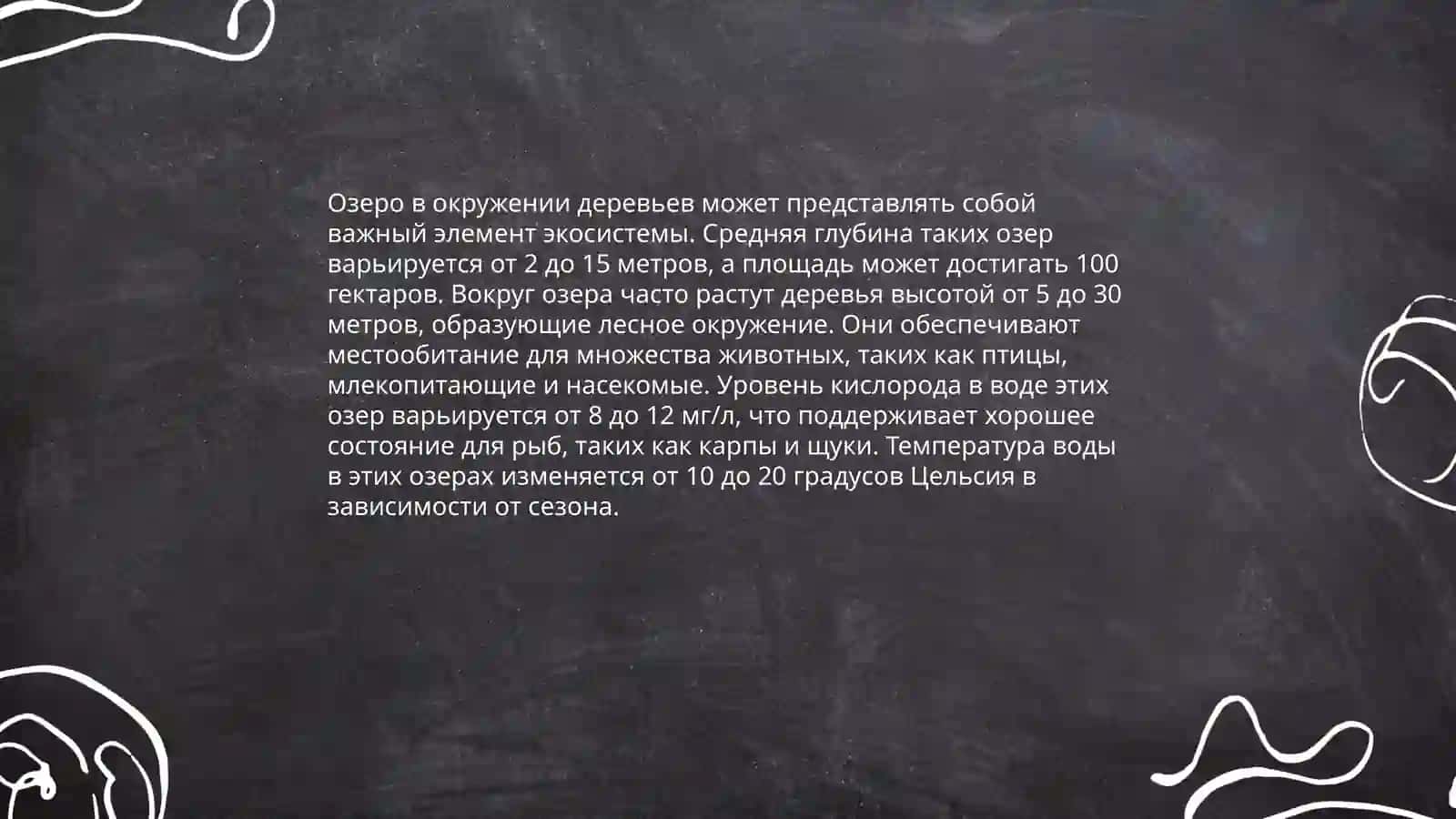 Лесная поляна 4