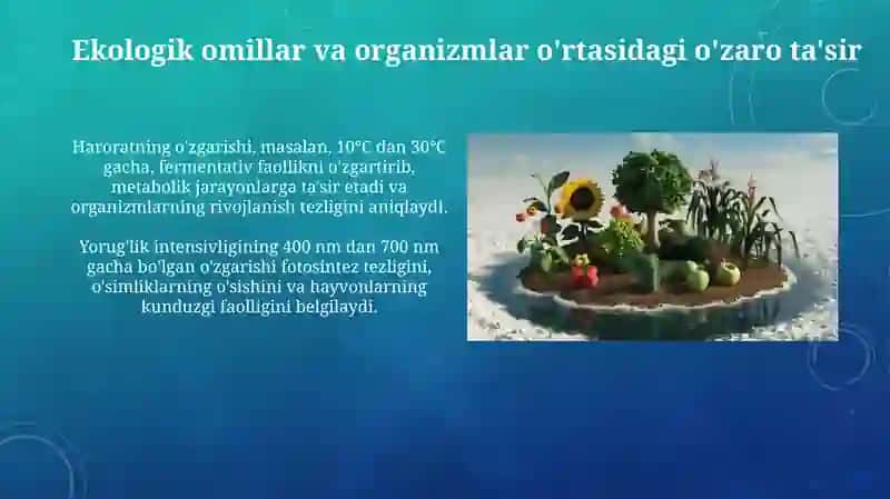 Turli ekologik omillarni tirik organizmlarga taʼsir etish mexanizmi 4