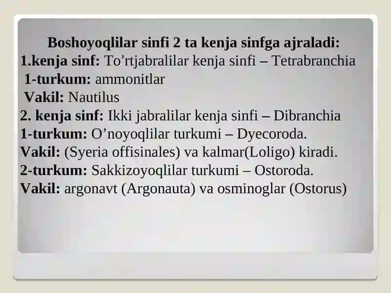 Boshoyoqli (Cephalopoda) mollyuskalar sinfi 4