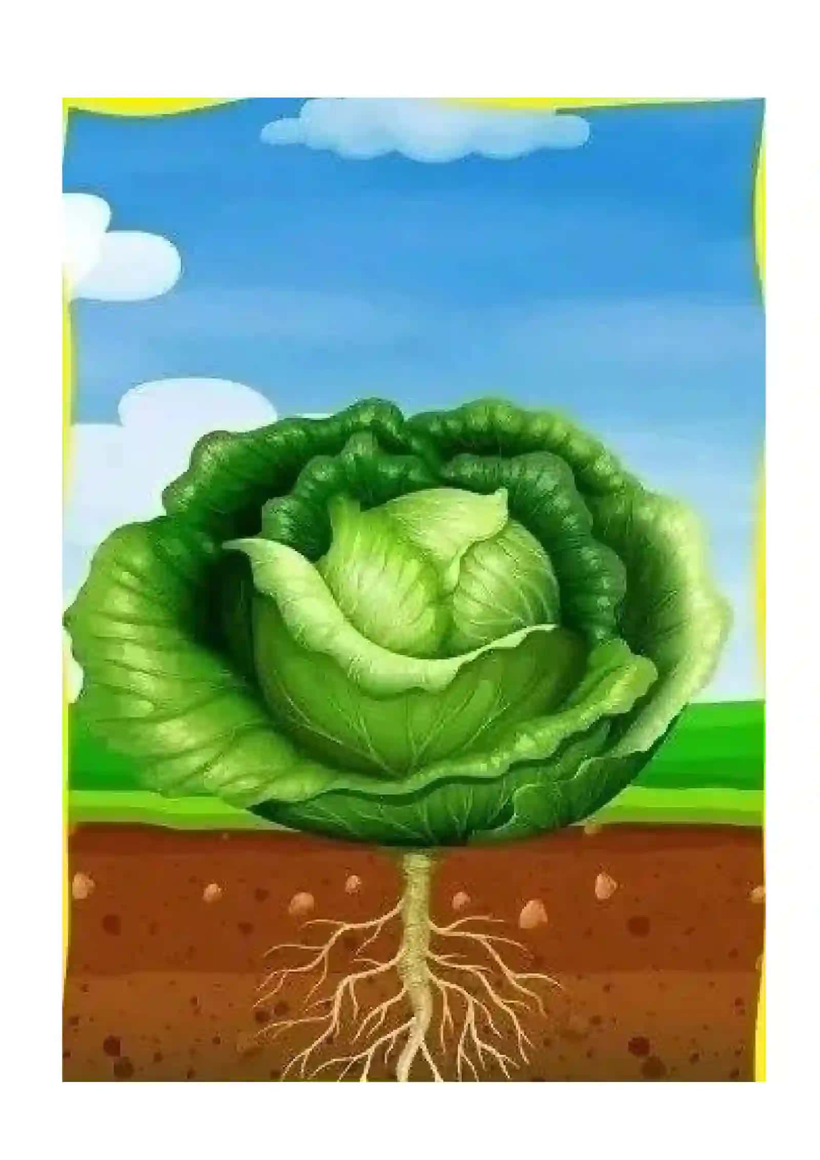Ma'lumotlar bazasi olchovlar tayyorlash 4