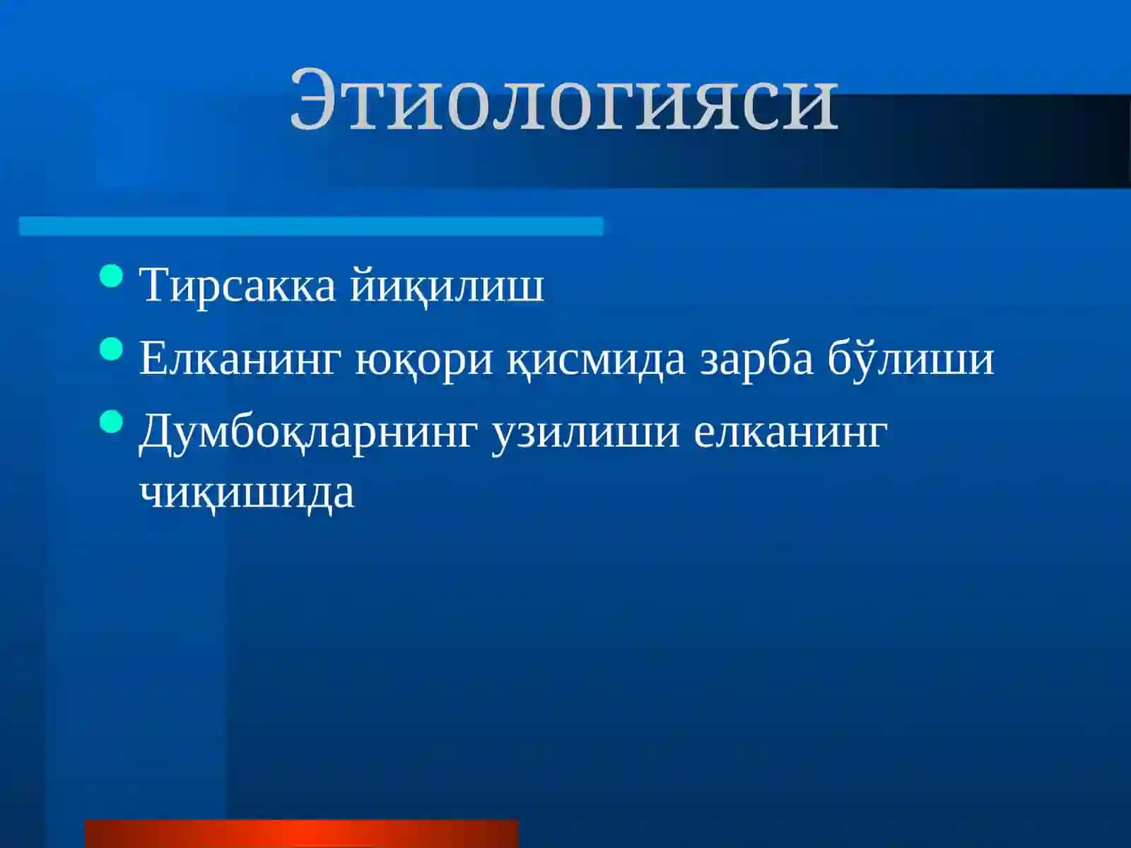 Елка суяги синишлари 4