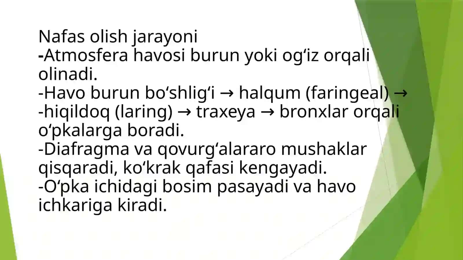 Nafas olish jarayoni. nafas olish aʼzolarining rentgenanatomiyasi va rivojlanish nuqsonlari 4