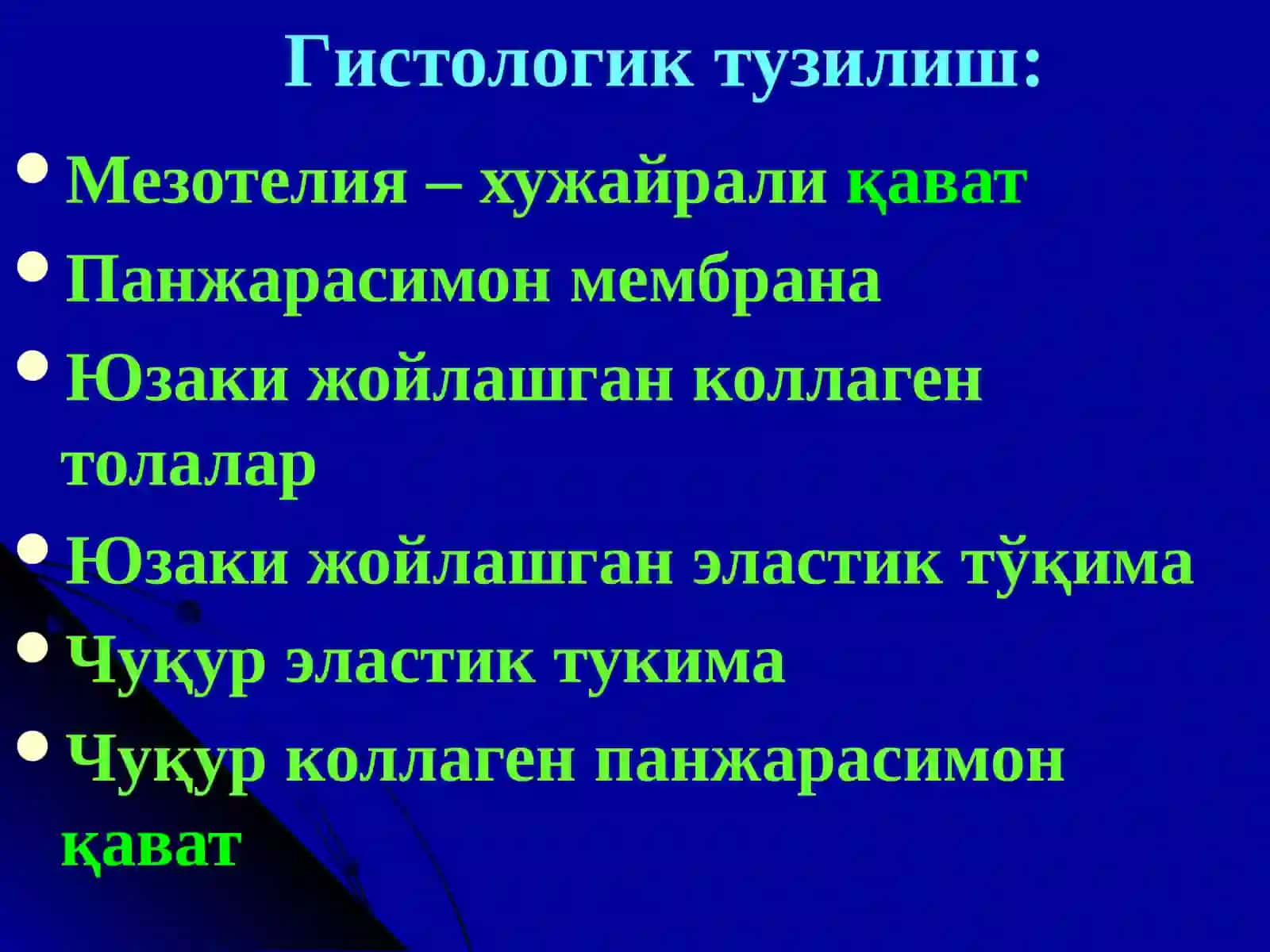 Туберкулез менингити 4