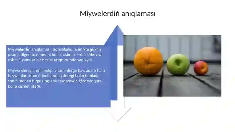 Miywelerdiń klassifikaciyası 4