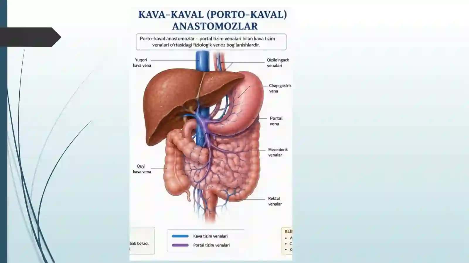 Kava-kaval, Porto-kaval anastomozlar 4