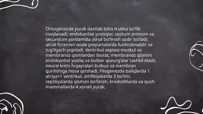 Umurtqali hayvonlarda yurak qon tomirlar onto-filogenezi 4